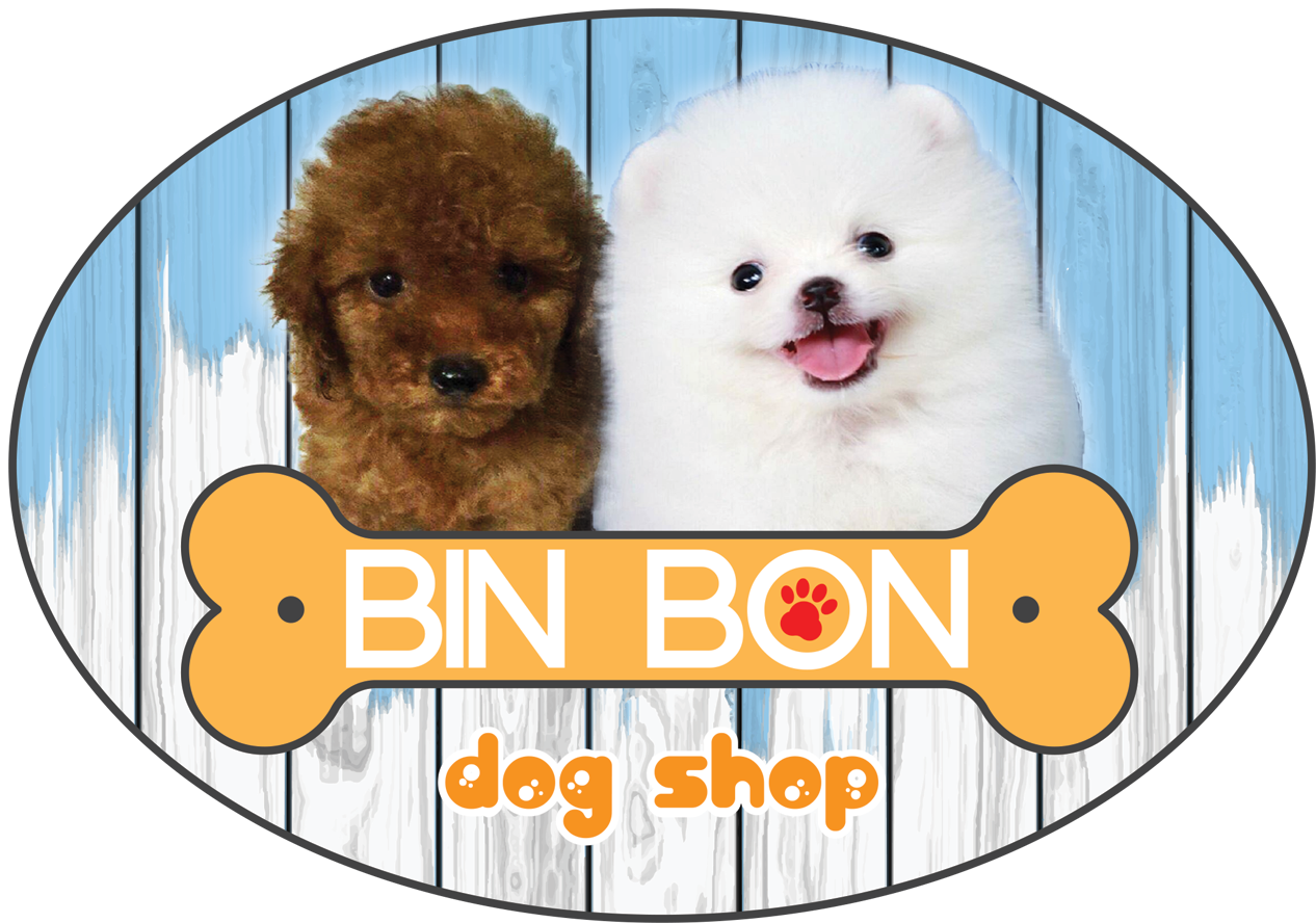 Hé Lộ Top 5 Pet Shop Ở Phan Thiết Uy Tín Nhất